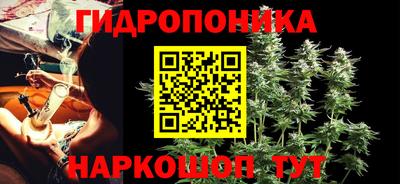 шишки Жуковский