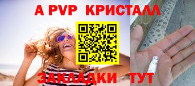 шишки Жуковский