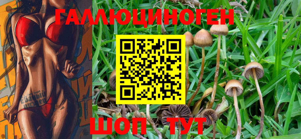 Псилоцибиновые грибы MAGIC MUSHROOMS  Псилоцибиновые грибы MAGIC MUSHROOMS  Лениногорск  Вход с VPN 